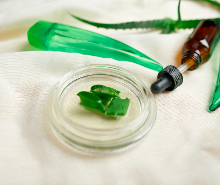 Aloe vera: qué es y propiedades