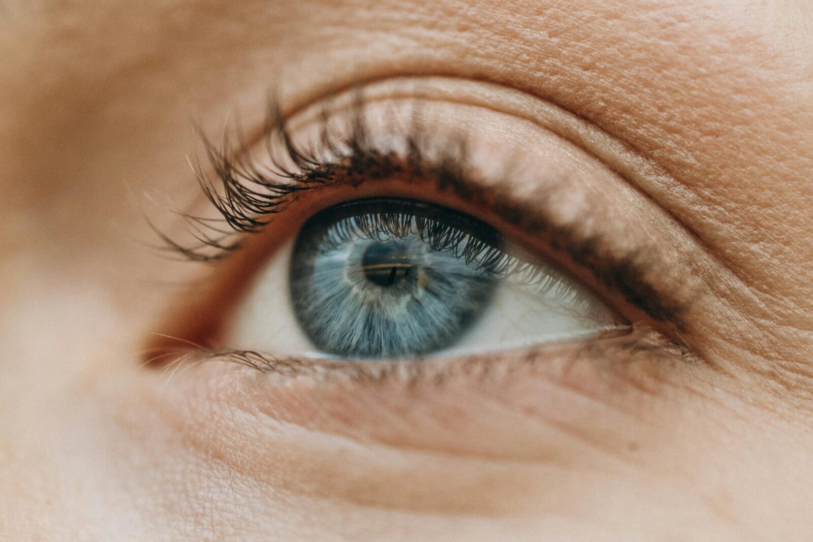 La verdad sobre los sérums para pestañas y cejas